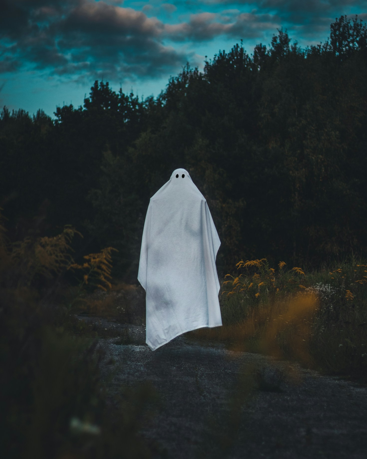How to Join the Paranormal Research Community